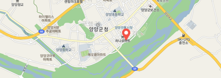  [가을 축제] 남대천 일원 2022 양양송이축제 기본정보 / 프로그램