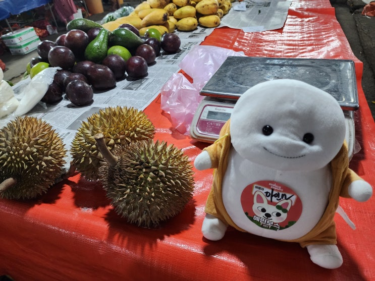 코타키나발루 여행(14) : 필리피노마켓, Kota Kinabalu Wet Market