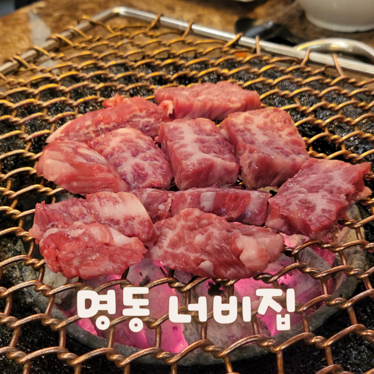  [서울 중구]명동, 을지로 소고기집 다시쓰는 ::너비집::