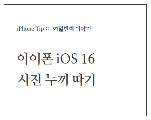  iOS16 다른 어플 없이 쉽고 빠르게 사진 누끼따기