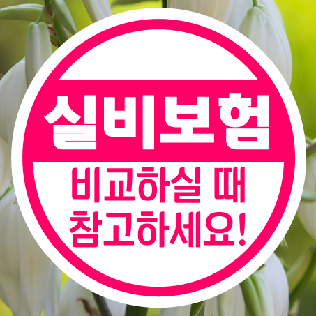  아기실비보험 가격과 함께 가입 전 살펴볼 내용들을 알아보았다.