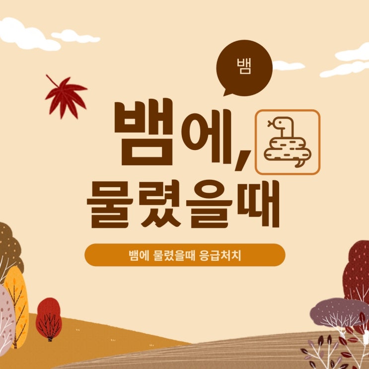  뱀에 물렸을때 어떻게 하나요? 뱀 물림 증상 응급처치