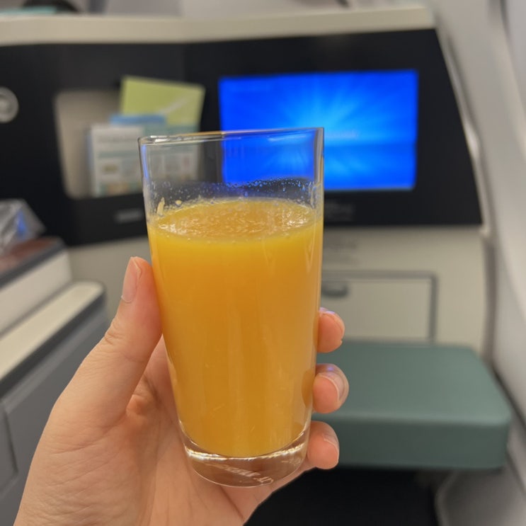 (반가운 소식) 대한항공 김해공항 - 인천공항 국제선 연결 내항기 재운항 (운항 스케줄 정보) (반가운 소식) 대한항공 김해공항 - 인천공항 국제선 연결 내항기 재운항 (운항 스케줄 정보)