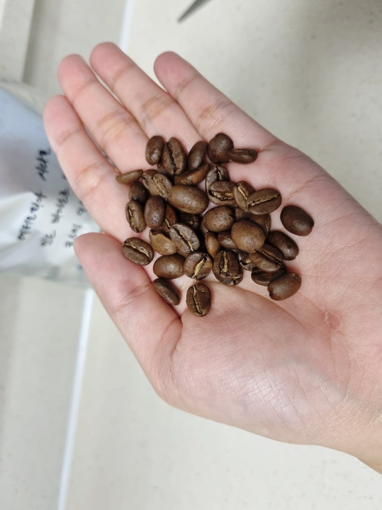  로스팅원두 맛집 / 커피더호랑이