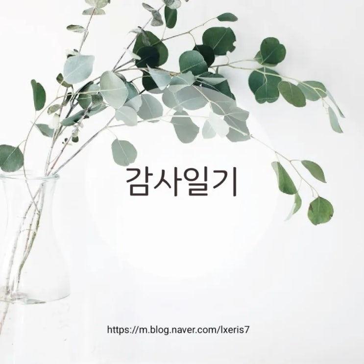  월화수 감사일기