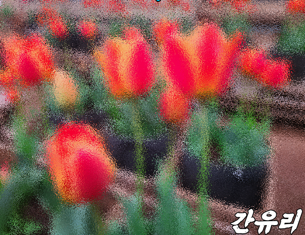  포토스케이프X 모자이크 몰랐어?