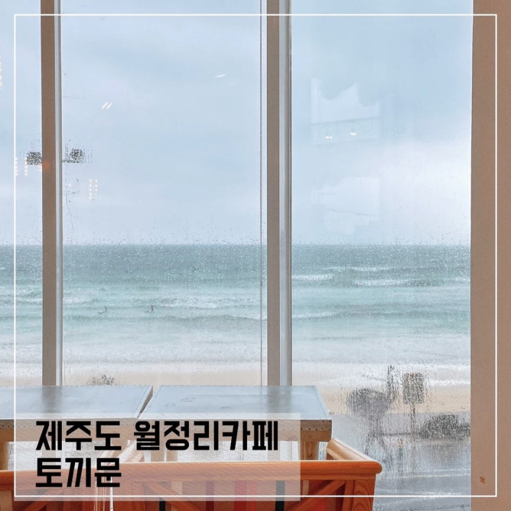  월정리 바다뷰카페 토끼문; 아이와 방문하기좋은 월정리카페