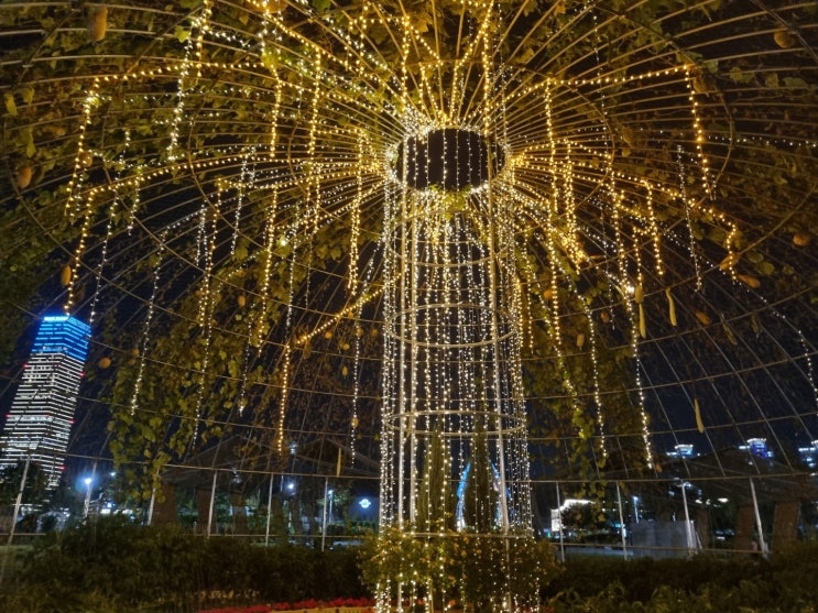  엑스포 야경