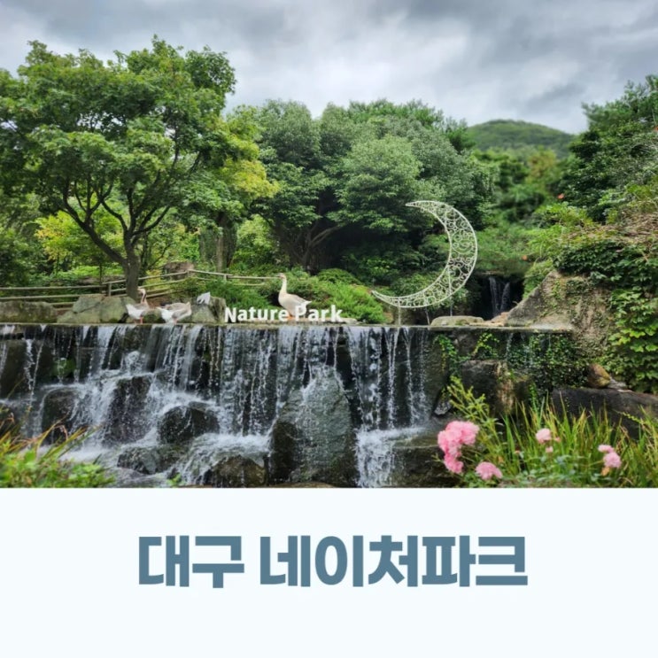  대구 실내동물원이 있는 가창 네이처파크 교감키트로 아이랑 동물 먹이주기 체험