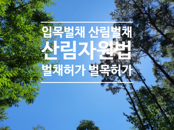  벌채 산림벌채 임의벌채 벌채허가 벌목 벌목허가 산림벌목 임의벌목 산림정의 산지정의(벌채 1탄)