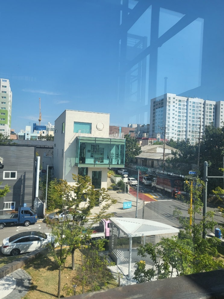  돼지 꿈해몽 꿈풀이
