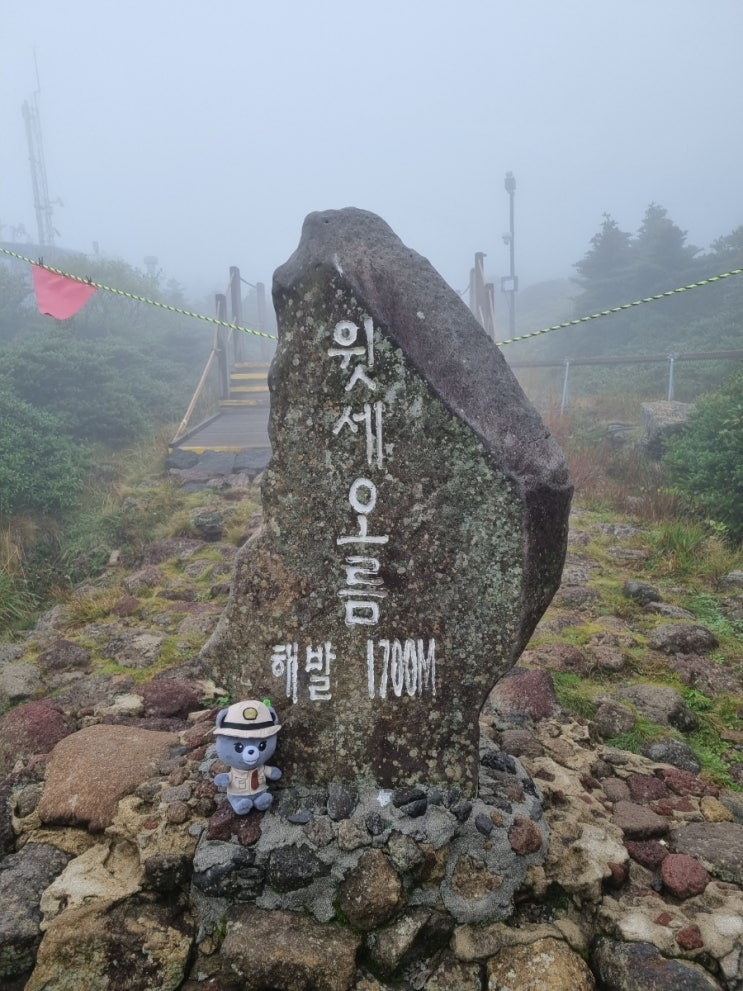  한라산 윗세오름 등산 영실탐방로 최단코스