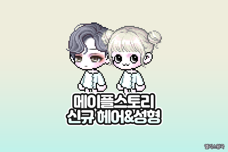 메이플스토리 신규헤어&성형 추가 - 퐁당/호수/복실이/몽실이 헤어, 딩딩/뮤트/왜요 얼굴 : 네이버 블로그 메이플스토리 신규헤어&성형 추가 - 퐁당/호수/복실이/몽실이 헤어, 딩딩/뮤트/왜요 얼굴 : 네이버 블로그