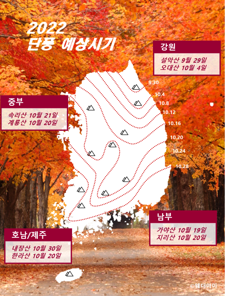 2022년 단풍시기와 설악산 탐방로 예약제 및 곤지암 화담숲 가을단풍 축제 예약
