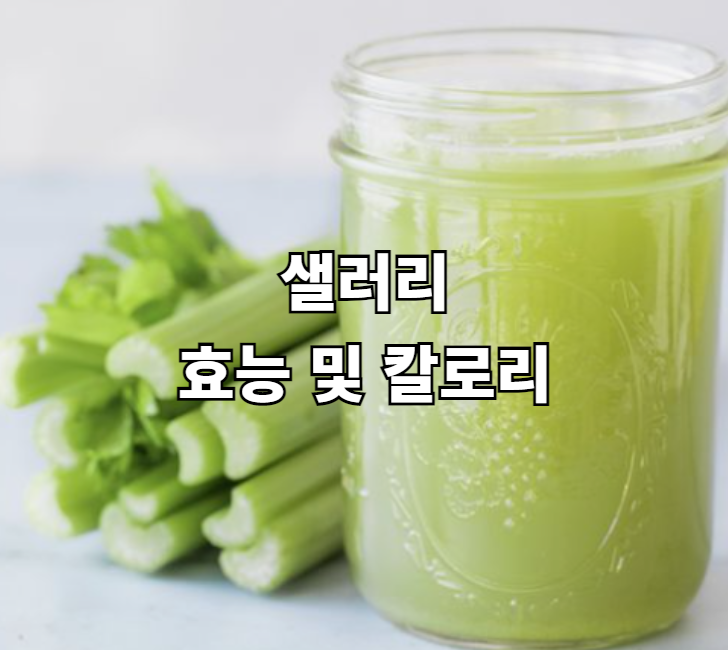  완전식품에 가까운 샐러리 효능 및 칼로리