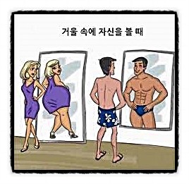  남녀 차이 스트레스 호르몬 균형 난자 배란 생식 성별 유전