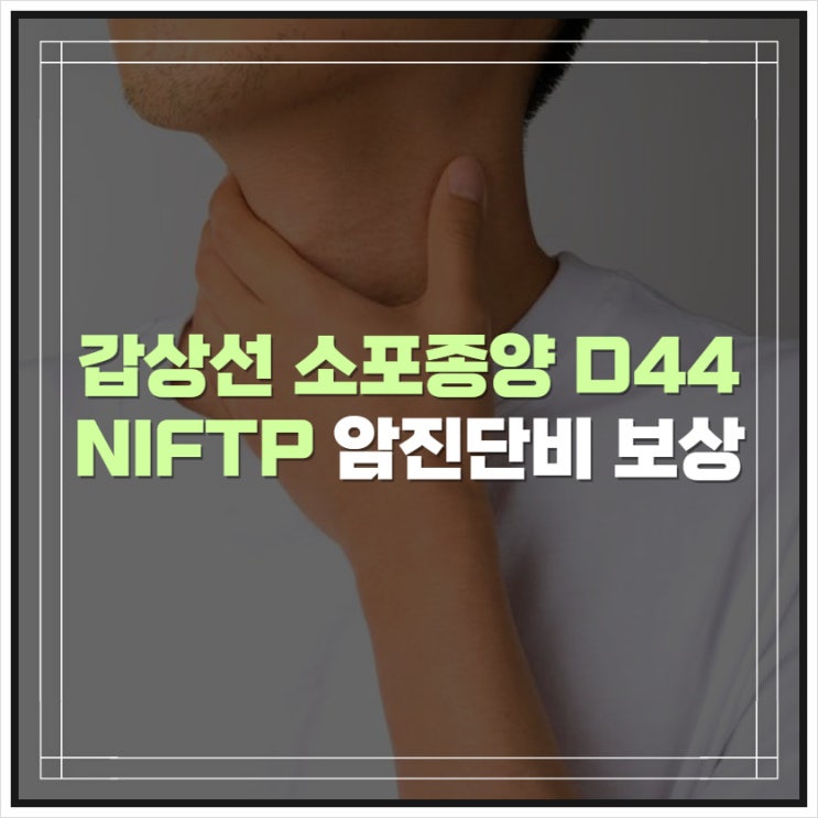  NIFTP 갑상선경계성종양 소포종양 D44 암진단비 보상