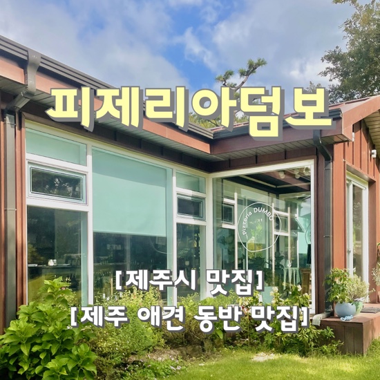  {제주시/맛집} 피제리아 덤보 :: "넓은 정원이 있는 미국식 피자 맛집" , 제주 맛집 추천, 제주 도민 맛집, 제주 피자 맛집, 애견 동반 식당