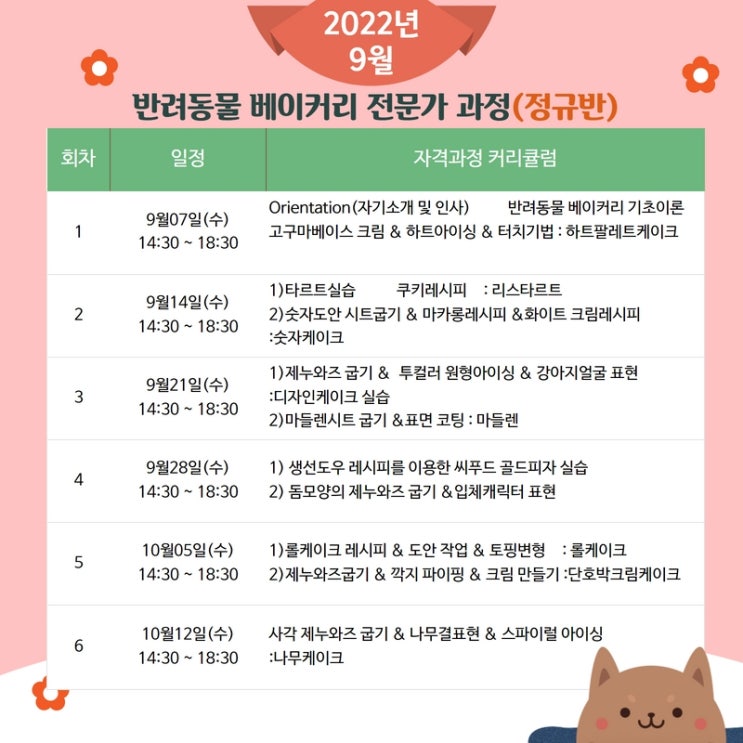  펫푸드 베이커리의 입문! 기초부터 차근차근!