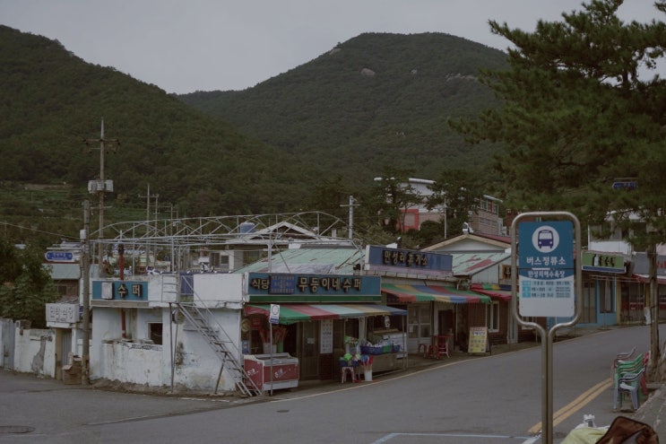  주간일기 9월 3주차, 여수여행 끝 일상 복귀