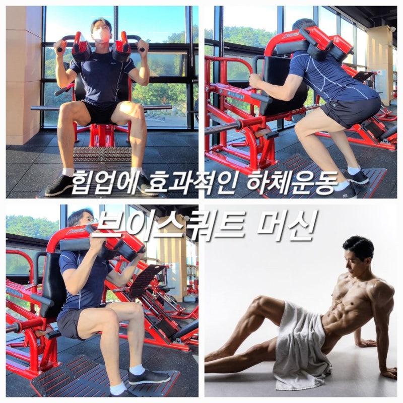 브이스쿼트 머신 [엉덩이 힙업 하체운동기구] V 핵스쿼트