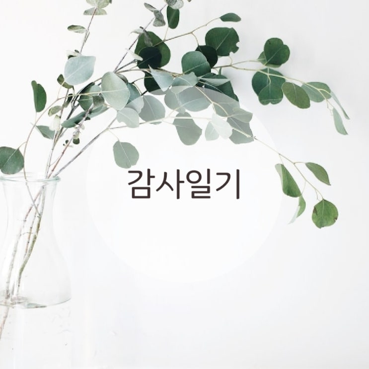  22일 목요일 감사일기
