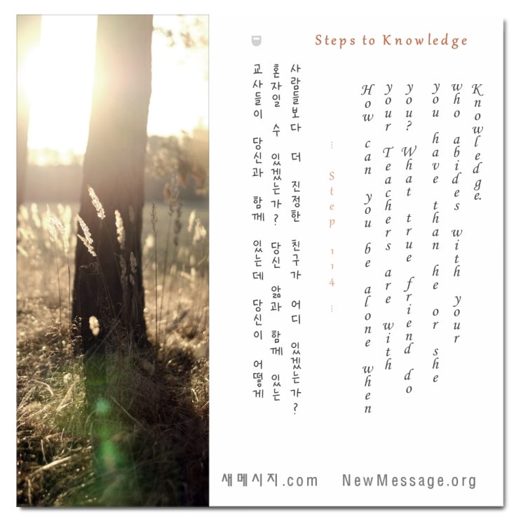 제 114 계단: 진정한 친구들이 나와 함께 있다. 나는 혼자가 아니다 My true friends are with me. I am not alone. 제 114 계단: 진정한 친구들이 나와 함께 있다. 나는 혼자가 아니다 My true friends are with me. I am not alone.
