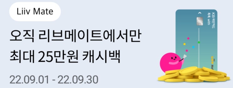  [생활비 절약] KB 톡톡 with 리브 메이트 카드 최대 25만원 캐시백 + 5,000포인트 덤으로 받는 방법