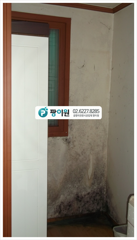  결로현상 벽지 곰팡이제거 후 방지는 이렇게!