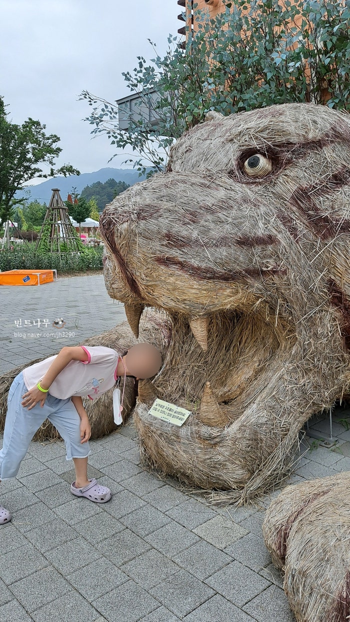  백두대간 수목원 입장권정보 트램타기 호랑이숲