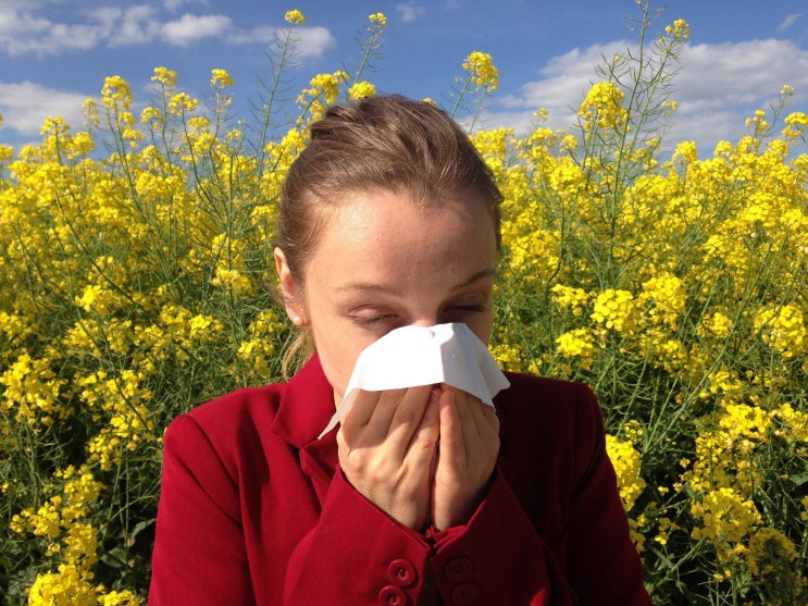 알레르기 비염의 원인 및 증상, 치료방법