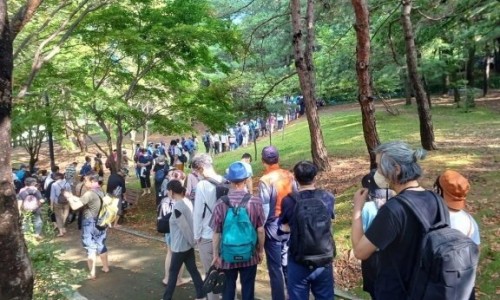  맨발걷기 효과와 주의사항