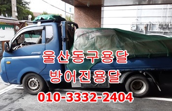 울산동구용달 방어진용달. 울산동구용달 방어진용달.