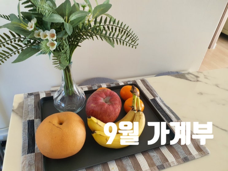  2022년 9월 가계부[1인 가구](2022/8/25~2022/9/24)
