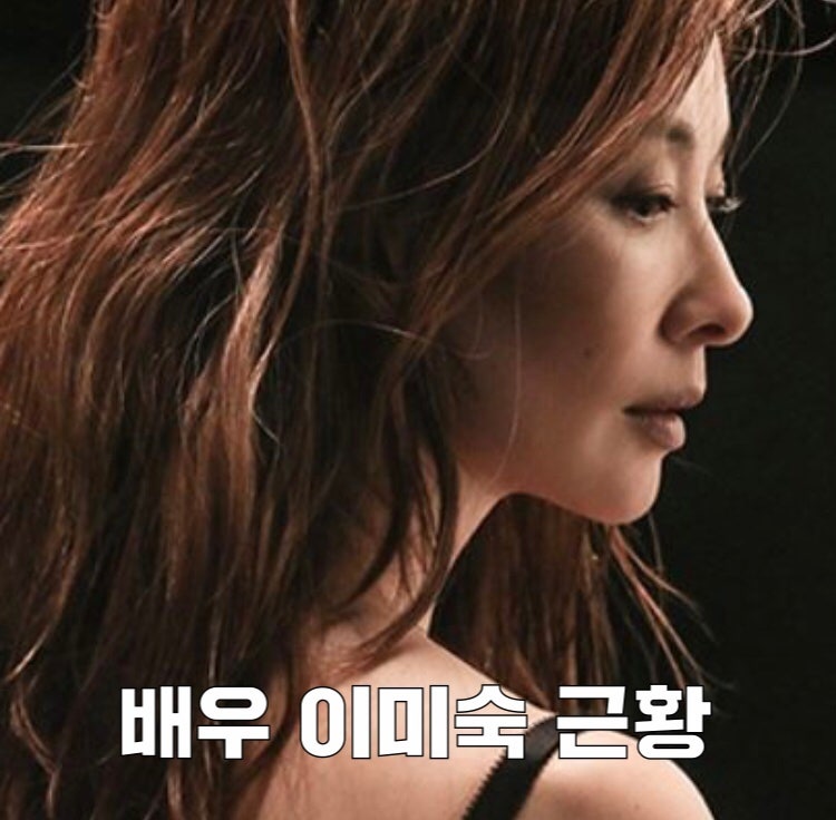 배우 이미숙 근황 + 나이 과거 리즈 사진 이정재 w. 결혼 이혼 남편