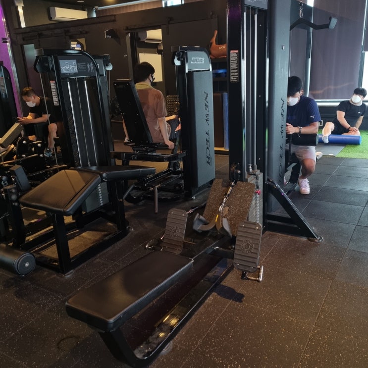 부평에서 PT 받기 좋은 헬스장 바디소나타 헬스 PT 부평점 (부평PT) 부평에서 PT 받기 좋은 헬스장 바디소나타 헬스 PT 부평점 (부평PT)