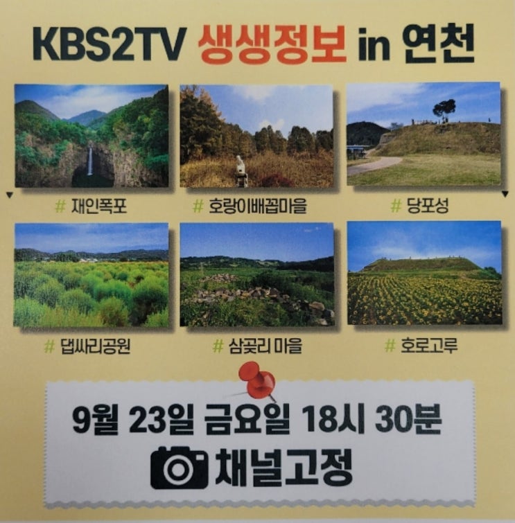  MBN 무작정투어 원하는대로 KBS2 생생정보 연천편