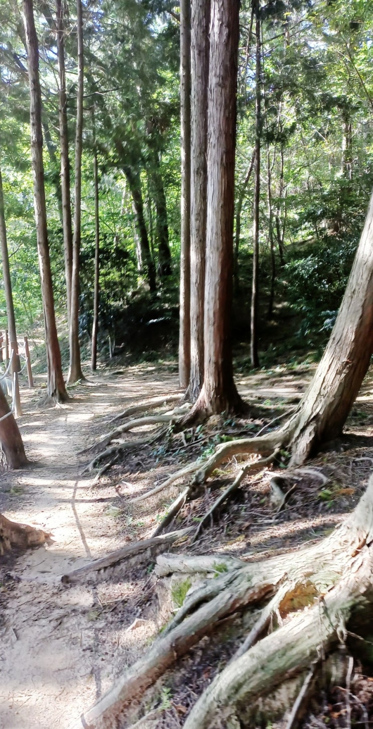  [9/23 추분] 용지 호수 산책 만보성공