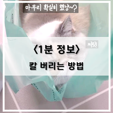  [정보] 칼 버리는 방법~!