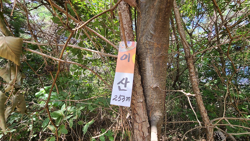범산 사진 4