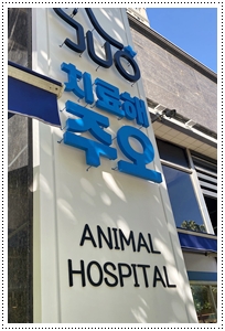 서창동동물병원 주관적인 견해로 좋은 곳