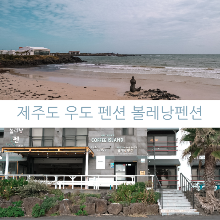 제주도 숙소 우도 펜션 하고수동해수욕장 옆 제주우도숙소 볼레낭펜션&와이키키바다