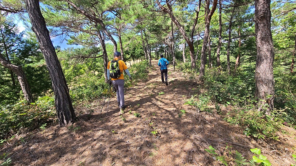 범산 사진 3