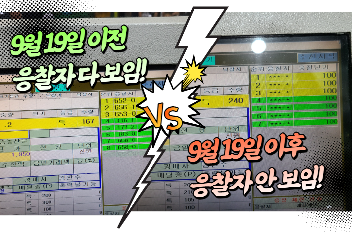  [가락시장 소식] 9월 19일 이후 "응찰자 정보 가리기"가 전품목 시행되었습니다.