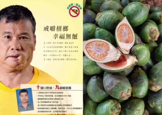 "씹으면 암걸린다" ..中서 판매 금지령까지 내린 '죽음의 열매' "씹으면 암걸린다" ..中서 판매 금지령까지 내린 '죽음의 열매'
