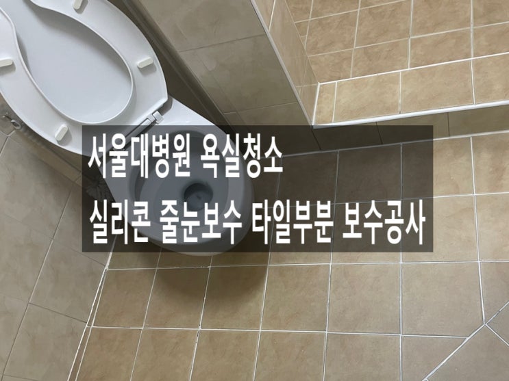  서울대병원 욕실청소 실리콘 줄눈보수 타일부분 보수공사
