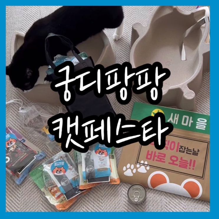 2022 궁디팡팡 캣페스타 일산 금요일 빠르게 다녀온 후기 / 구매템
