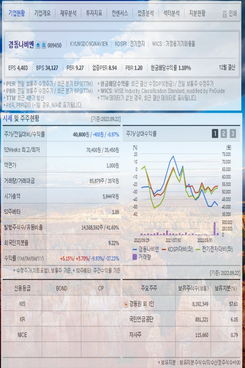 겨울 관련주 미리 점검하자 경동나비엔 신일전자 태경비케이 한국가스공사 영원무역 광림 동화약품 유한양행 주가 : 네이버 블로그