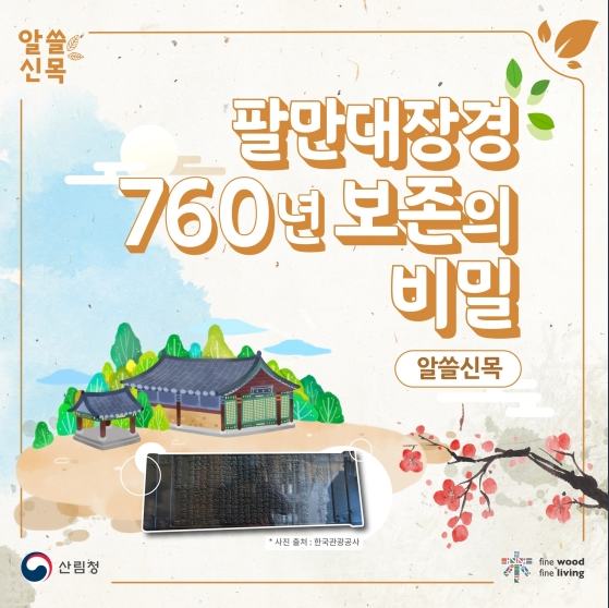 팔만대장경 760년 보존의 비밀_산림청 팔만대장경 760년 보존의 비밀_산림청