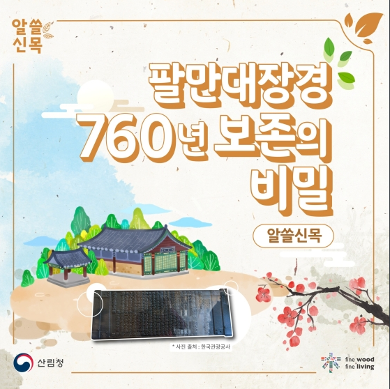 팔만대장경 760년 보존의 비밀_산림청